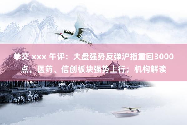 拳交 xxx 午评：大盘强势反弹沪指重回3000点，医药、信创板块强势上行；机构解读