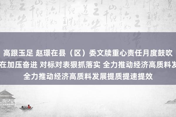 高跟玉足 赵璟在县（区）委文牍重心责任月度鼓吹会上强调 紧盯所在加压奋进 对标对表狠抓落实 全力推动经济高质料发展提质提速提效