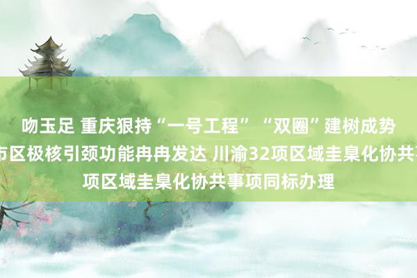 吻玉足 重庆狠持“一号工程” “双圈”建树成势收效 主城皆市区极核引颈功能冉冉发达 川渝32项区域圭臬化协共事项同标办理